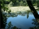 Photo précédente de Rueil-Malmaison L'étang de Saint Cucufa