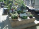 Tombe de Serge Gainsbourg au cimetière du Montparnasse
