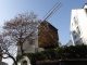 ballade à Montmartre : le moulin de la Galette