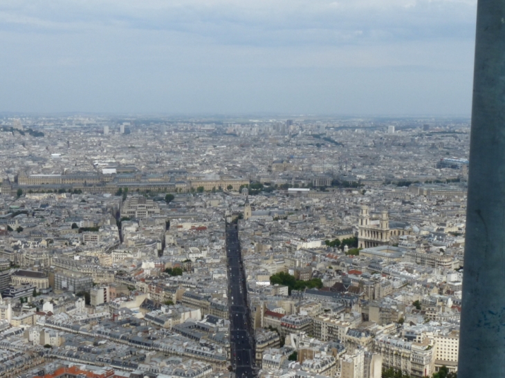Vue du haut de la Tour Montparnasse - Paris