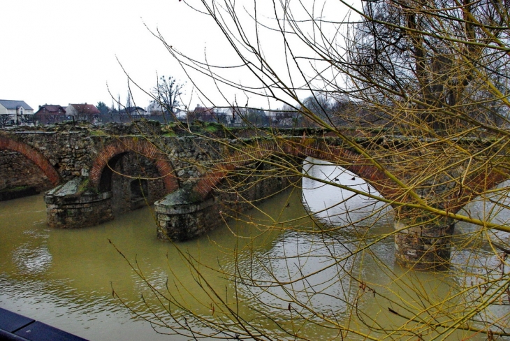 Les bords de Marne - crue de Janvier 2011 - Chelles