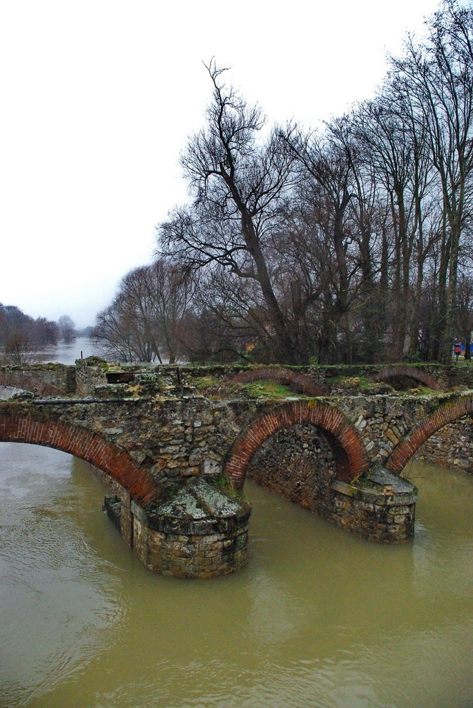 Les bords de Marne - crue de Janvier 2011 - Chelles
