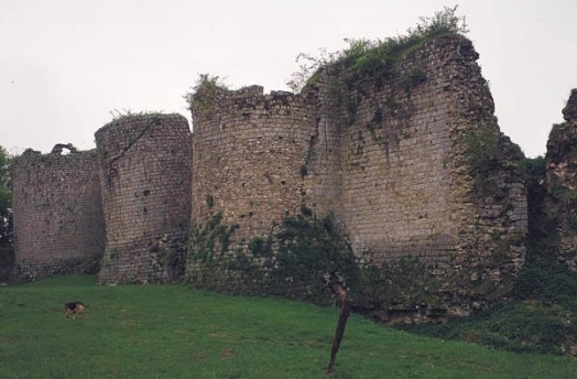 Château de Montaguillon - Louan-Villegruis-Fontaine