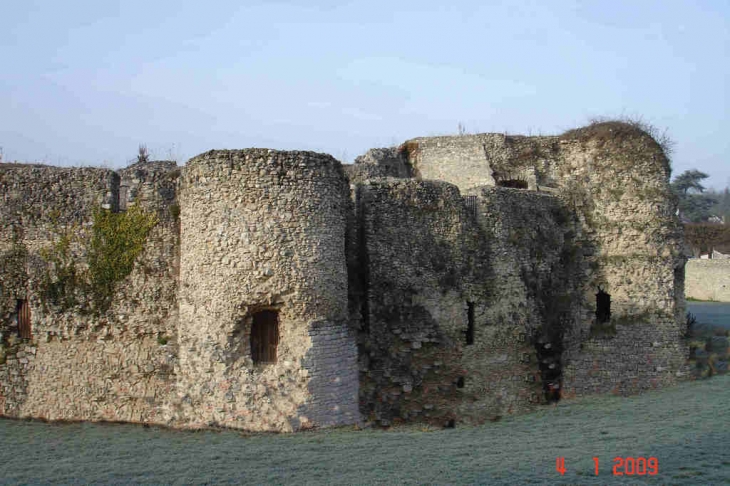 Ruine du Chateau de BEYNES