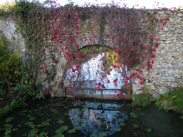 Les couleurs d'automne  - Saint-Hilarion