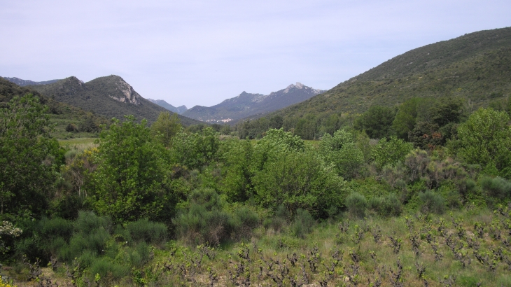 Duilhac vu de la vallée après Padern - Duilhac-sous-Peyrepertuse
