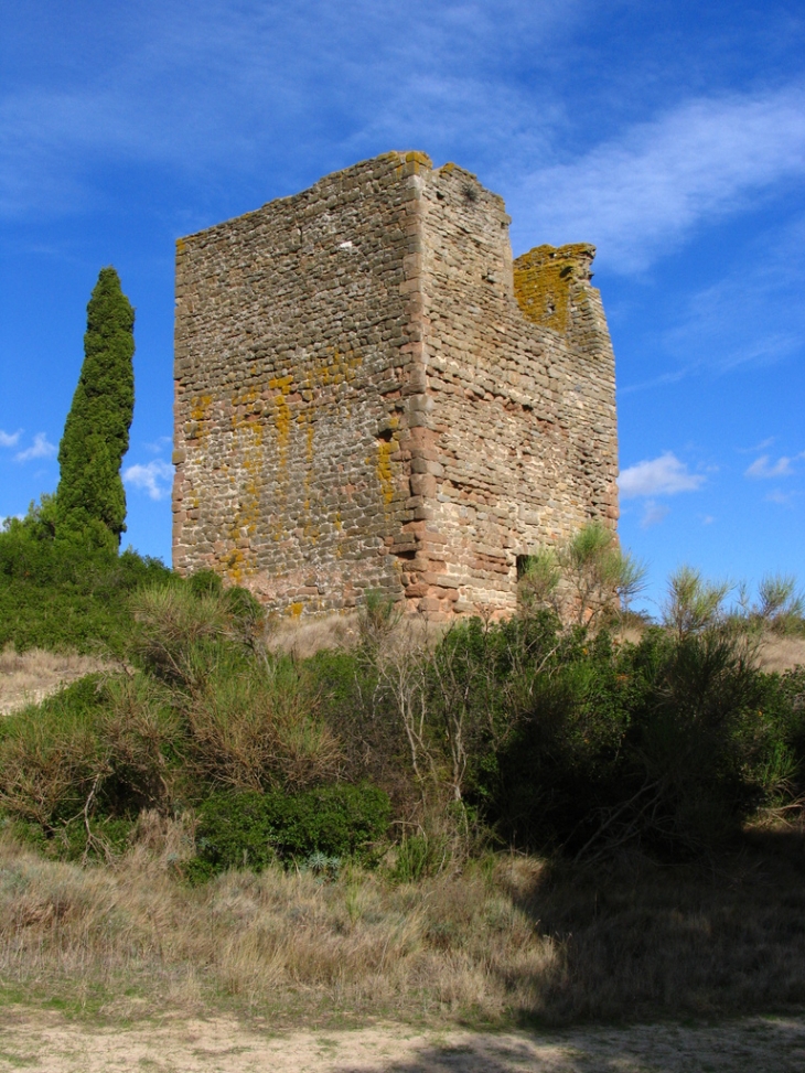 Vue de la tour en contre-plongée avec cyprès en 1er Plan - Escales