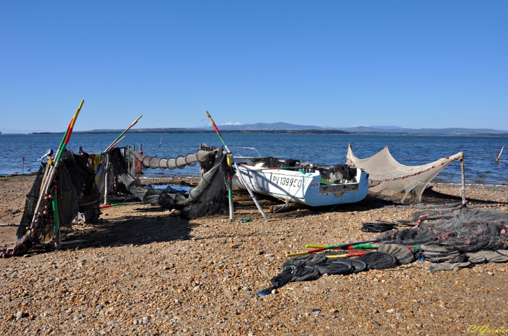 Filets de pêche - L'Ayrolle - Cabanes de Pêcheurs - Gruissan