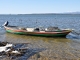 Photo précédente de Gruissan Barque de pêcheurs - L'Ayrolle - Cabanes de Pêcheurs