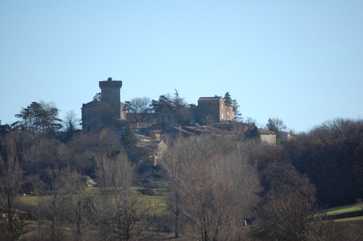 Le village et le château - La Pomarède
