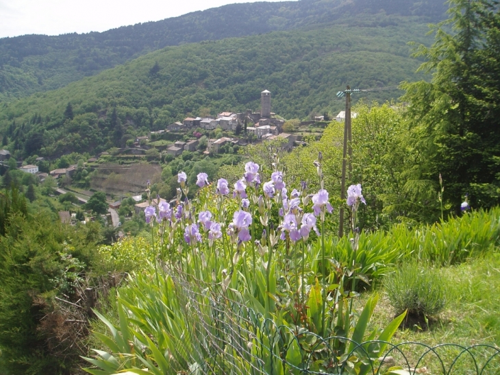 Village - Lespinassière
