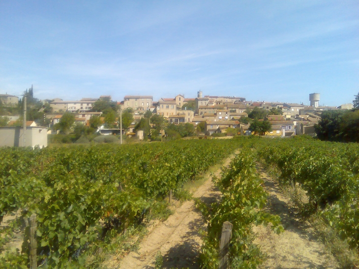 Vue du village depuis le bord de l'Aude - Marseillette
