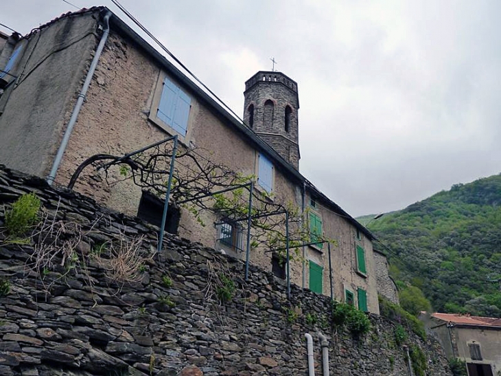 Le clocher derrière les maisons - Miraval-Cabardes