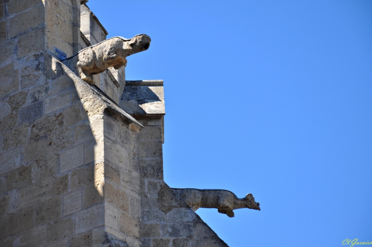Gargouilles - Eglise N.D de Lamourguier - Narbonne