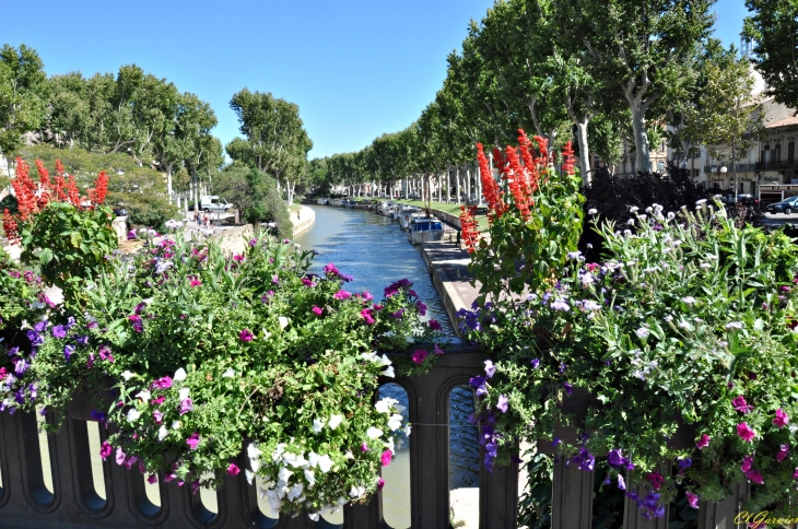 Canal de la Robine - Narbonne