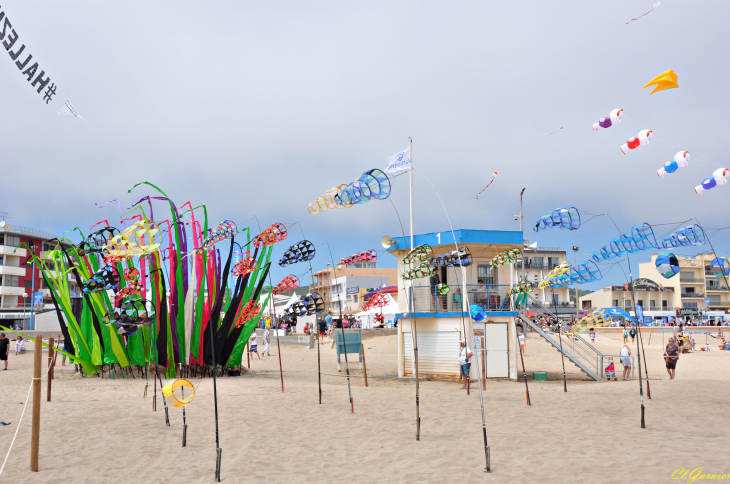 Natur'Ailes 2019 - Narbonne/Plage