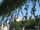 Photo suivante de Narbonne Vue sur la cathédrale depuis le cours mirabeau