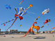 Photo suivante de Narbonne Natur'Ailes 2019 - Narbonne/Plage