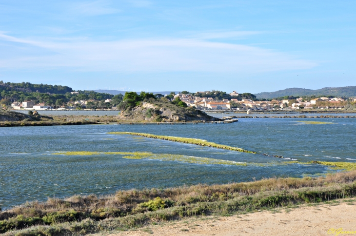 Les Salines - Peyriac-de-Mer