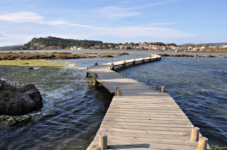 Les Salines - Peyriac-de-Mer