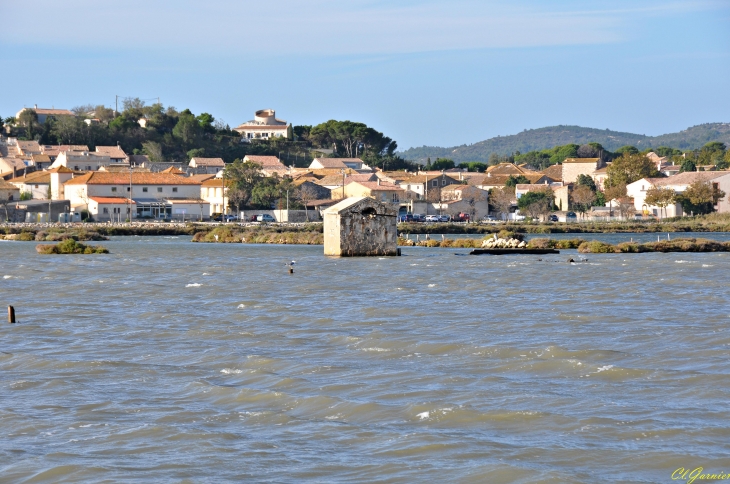 Les Salines - Peyriac-de-Mer