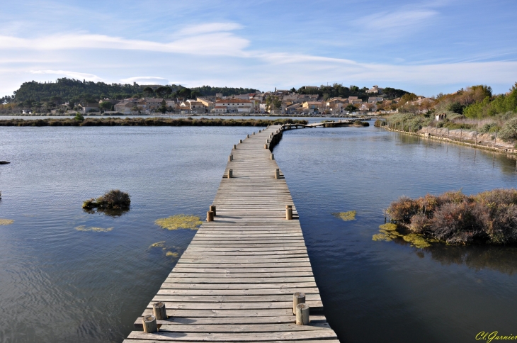 Les Salines - Peyriac-de-Mer