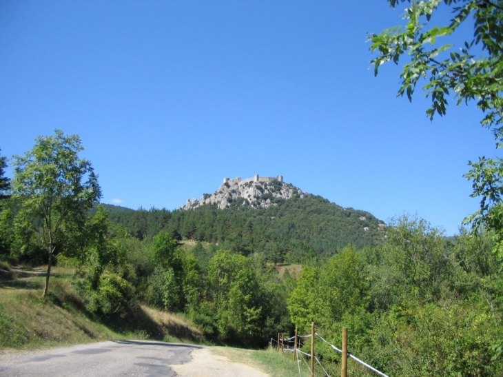 Puilaurens -  le château