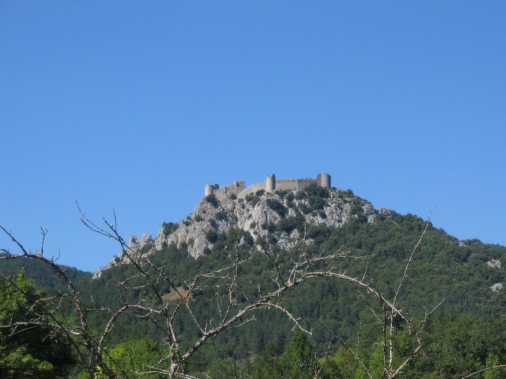Puilaurens -  le château