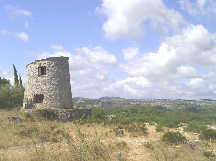  - Roquefort-des-Corbières