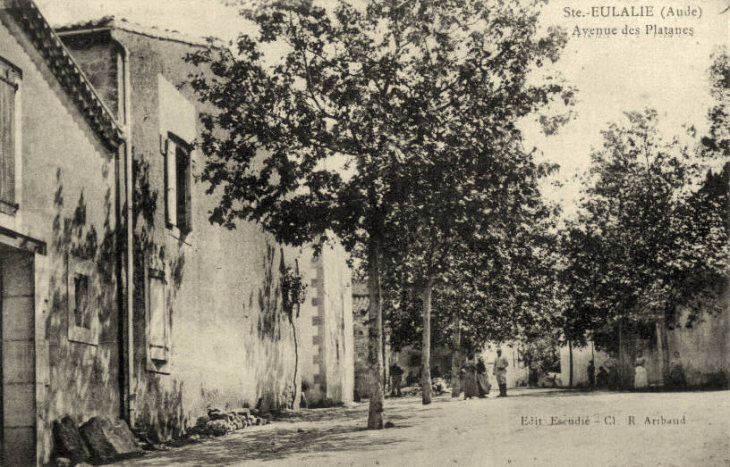 Avenue des platanes (le cazals) - Sainte-Eulalie