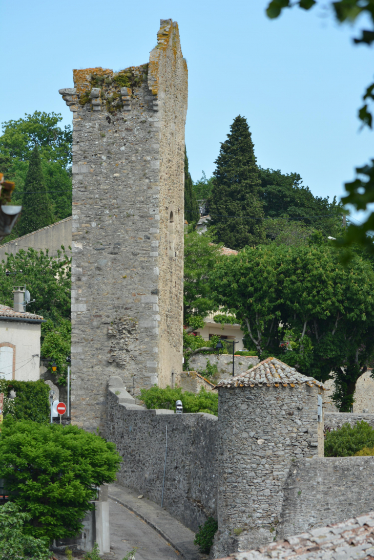 Photo à Saissac (11310) Tour Ouest Saissac, 375911