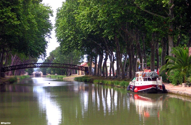 Le Canal de jonction - Sallèles-d'Aude