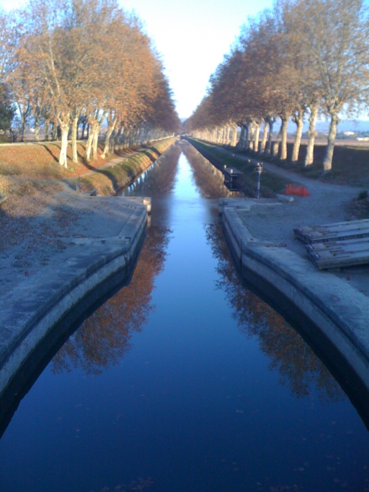 Le Canal en hiver - Sallèles-d'Aude