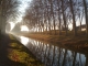Photo précédente de Sallèles-d'Aude Le Canal