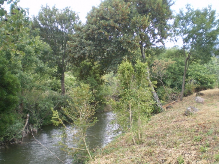 Ruisseau - Taurize