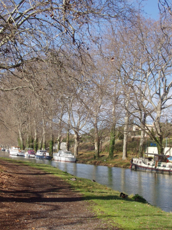Canal du Midi - Ventenac-en-Minervois