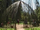 Photo suivante de Anduze la bambouseraie