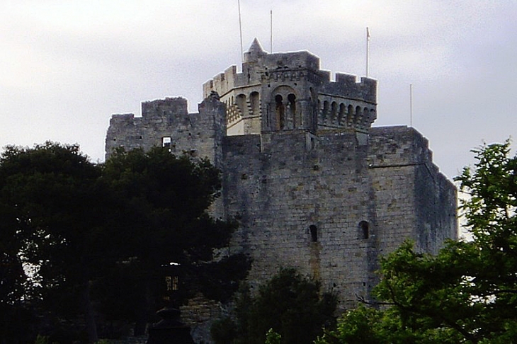 La tour polygonale du château - Beaucaire