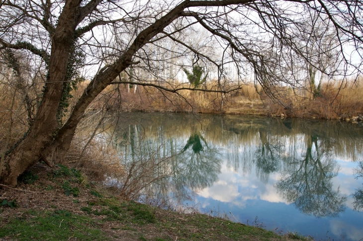 Au Bord du Gardon - Comps