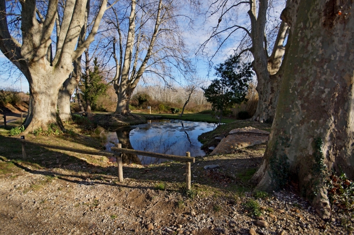 Fontaine de la Tavie - Jonquières-Saint-Vincent