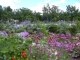 Photo suivante de Méjannes-le-Clap Le Jardin Fleuri près de la capitelle
