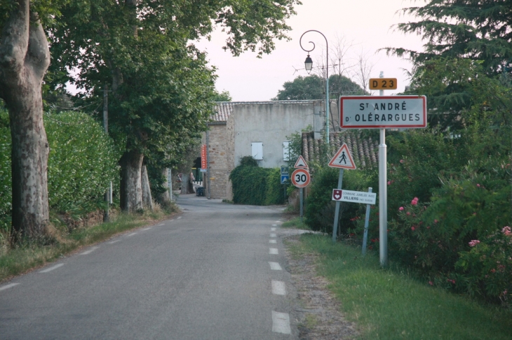 Avenue des lavandières - Saint-André-d'Olérargues