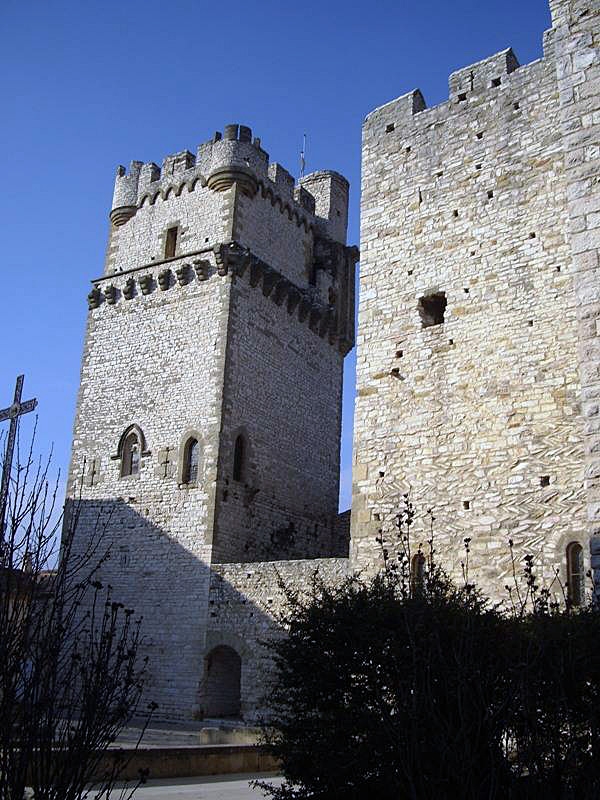 Le château - Saint-Laurent-des-Arbres