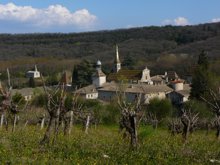 La Chartreuse de Valbonne - Saint-Paulet-de-Caisson