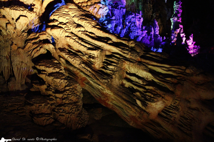 Grottes de la Salamandre - Saint-Privat-de-Champclos
