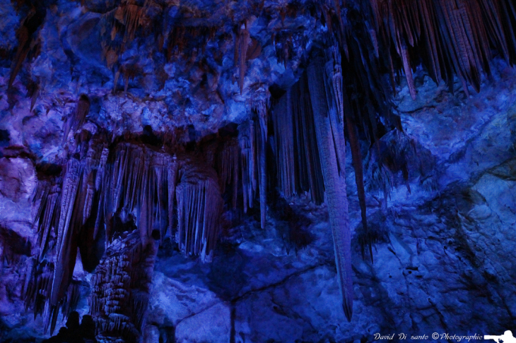 Grottes de la Salamandre - Saint-Privat-de-Champclos