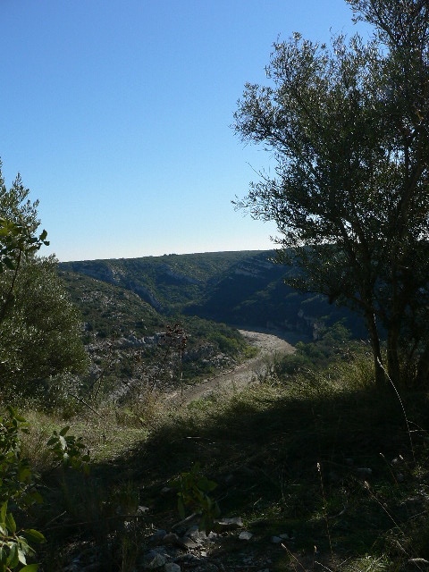 Le catellas (gorge du Gardon) russan - Sainte-Anastasie
