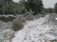 Photo suivante de Sainte-Anastasie La garrigue sous la neige Russan