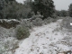 La garrigue sous la neige Russan