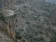 Le catellas (gorge du Gardon) russan